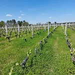 Casa de Férias Des Graves De Lilou Martillac