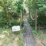Des Graves De Lilou
