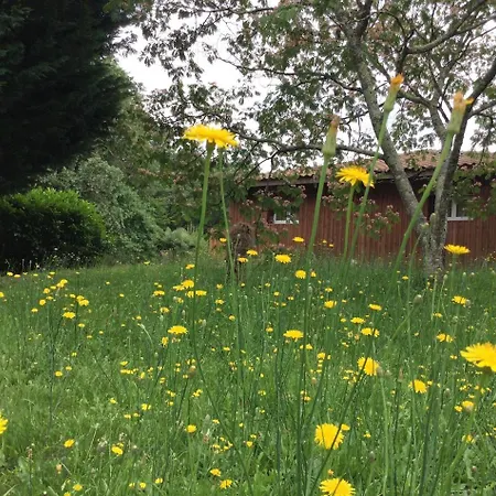 בית נופש Des Graves De Lilou מרטיאק