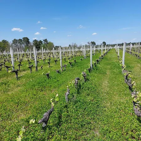 בית נופש Des Graves De Lilou מרטיאק