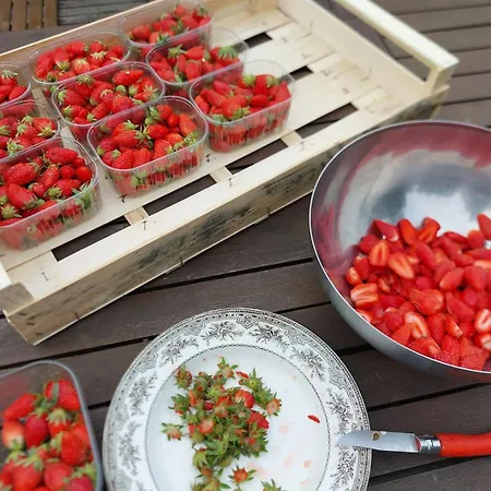 Des Graves De Lilou בית נופש