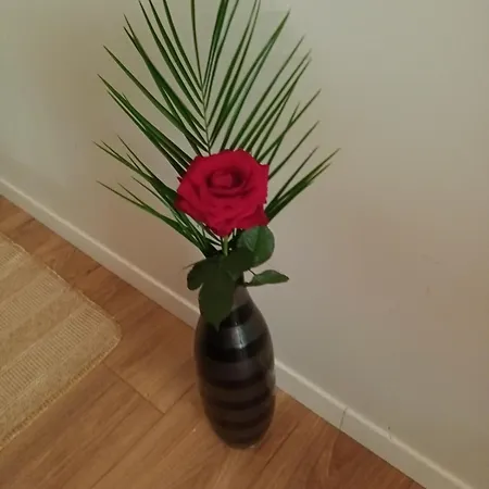 Des Graves De Lilou בית נופש מרטיאק