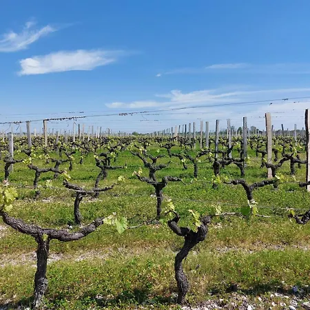 Des Graves De Lilou *