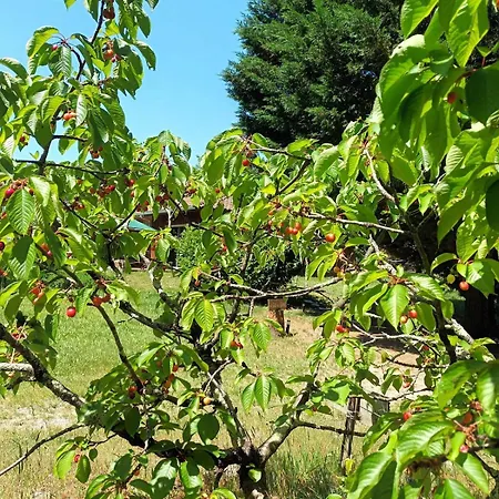 度假居 Des Graves De Lilou *