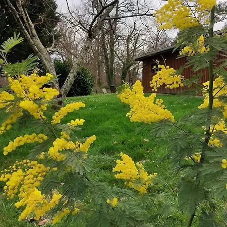 Des Graves De Lilou 度假居 *