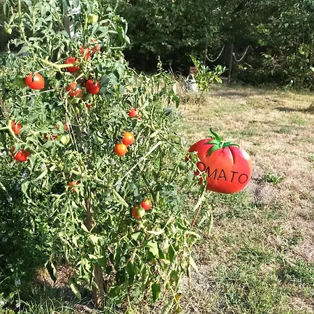 Des Graves De Lilou *