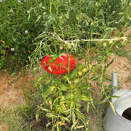 Des Graves De Lilou * מרטיאק