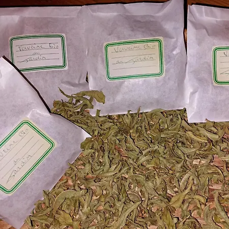 度假居 Des Graves De Lilou