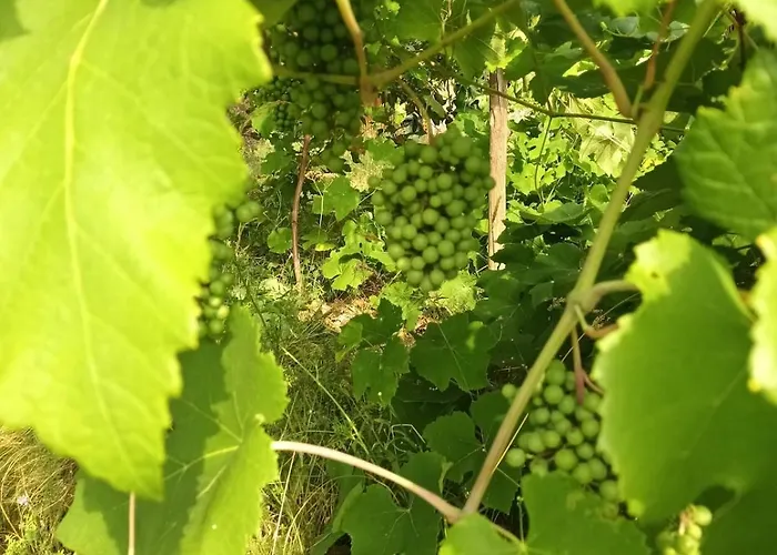 Des Graves De Lilou Casa de Férias *