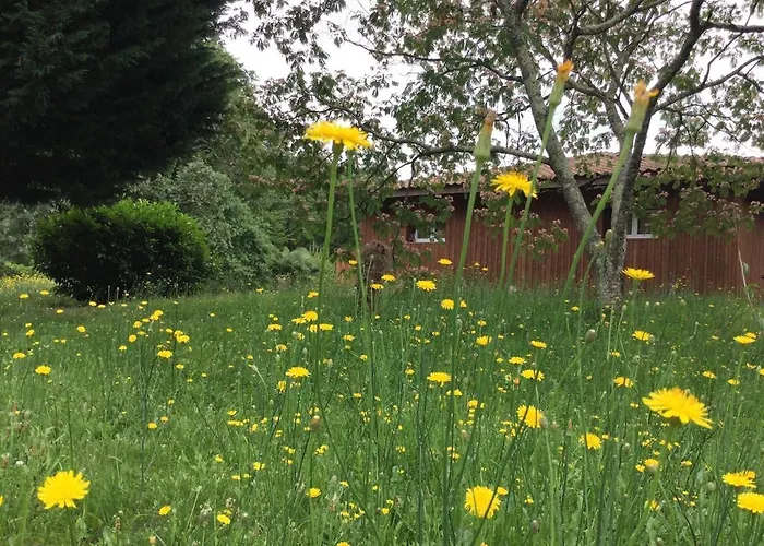 Casa de Férias Des Graves De Lilou Martillac