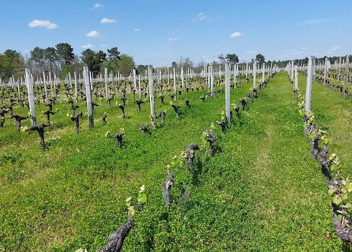 Casa de Férias Des Graves De Lilou Martillac
