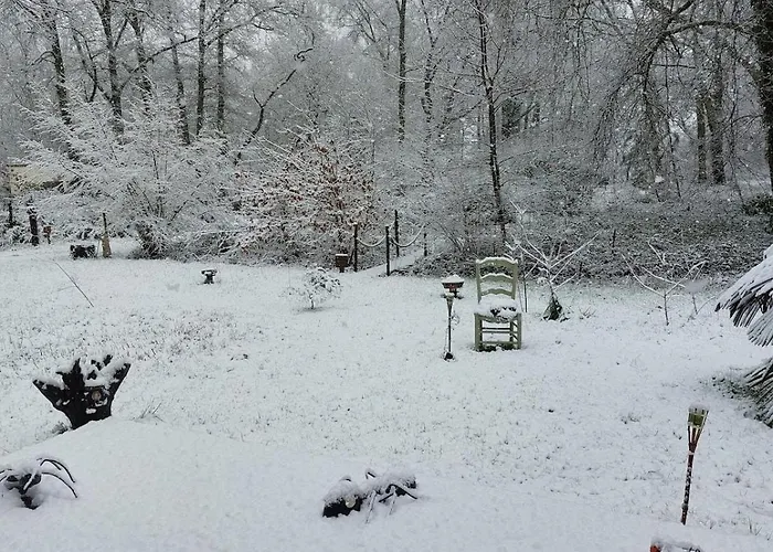 Des Graves De Lilou *