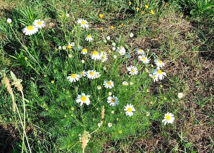 Des Graves De Lilou Casa de Férias *