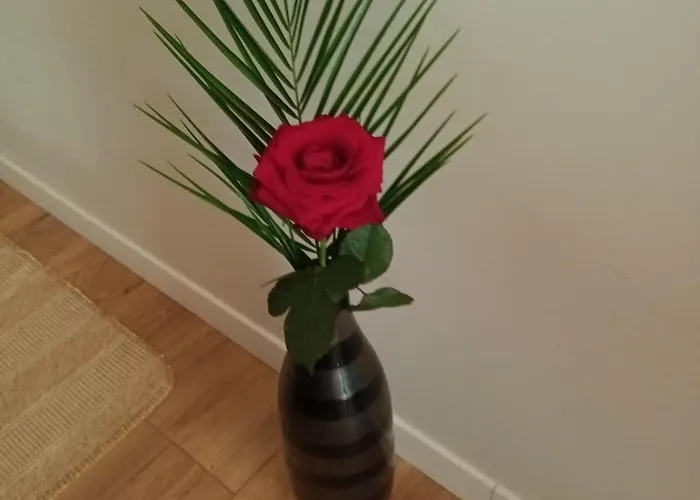 Des Graves De Lilou Casa de Férias Martillac