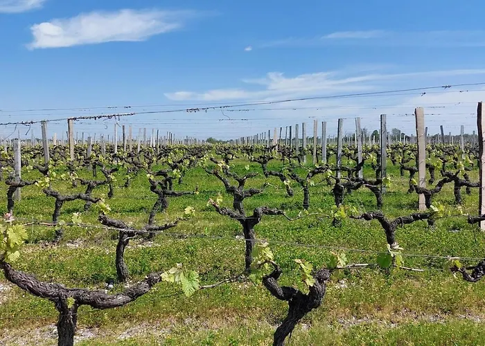 Des Graves De Lilou *