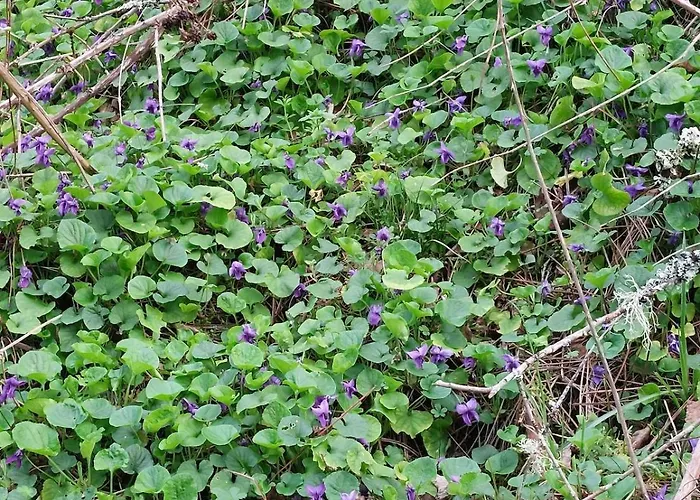 Des Graves De Lilou Casa de Férias Martillac