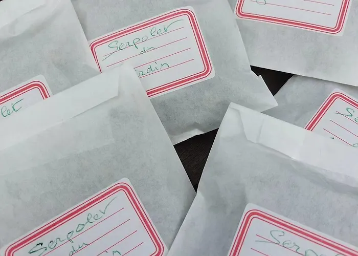 Des Graves De Lilou Casa de Férias