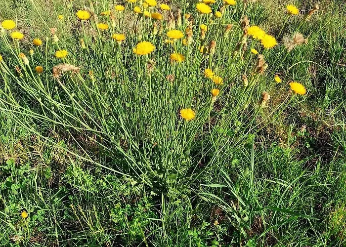 Des Graves De Lilou Casa de Férias