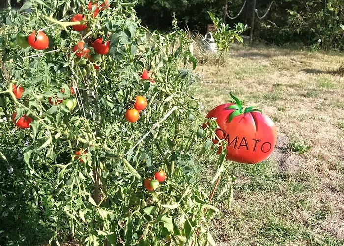 Des Graves De Lilou *