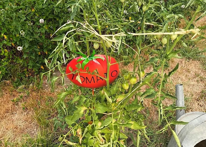 Des Graves De Lilou * Martillac