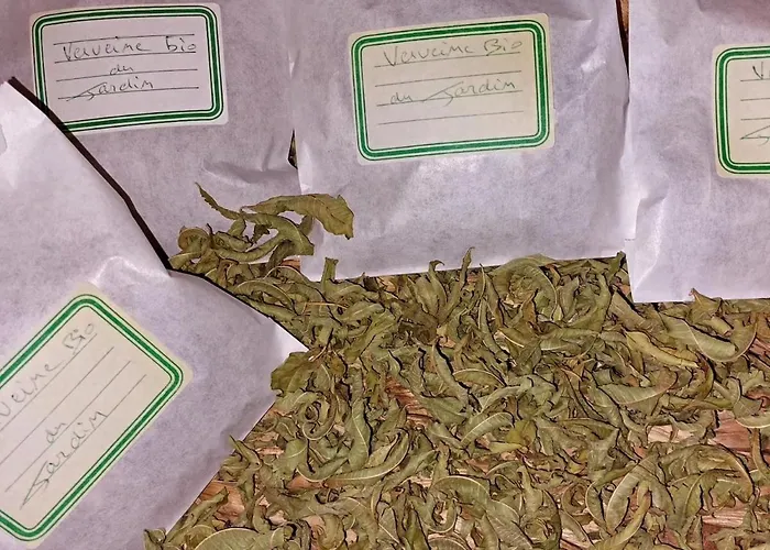 Casa de Férias Des Graves De Lilou