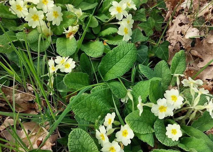 Des Graves De Lilou Casa de Férias *